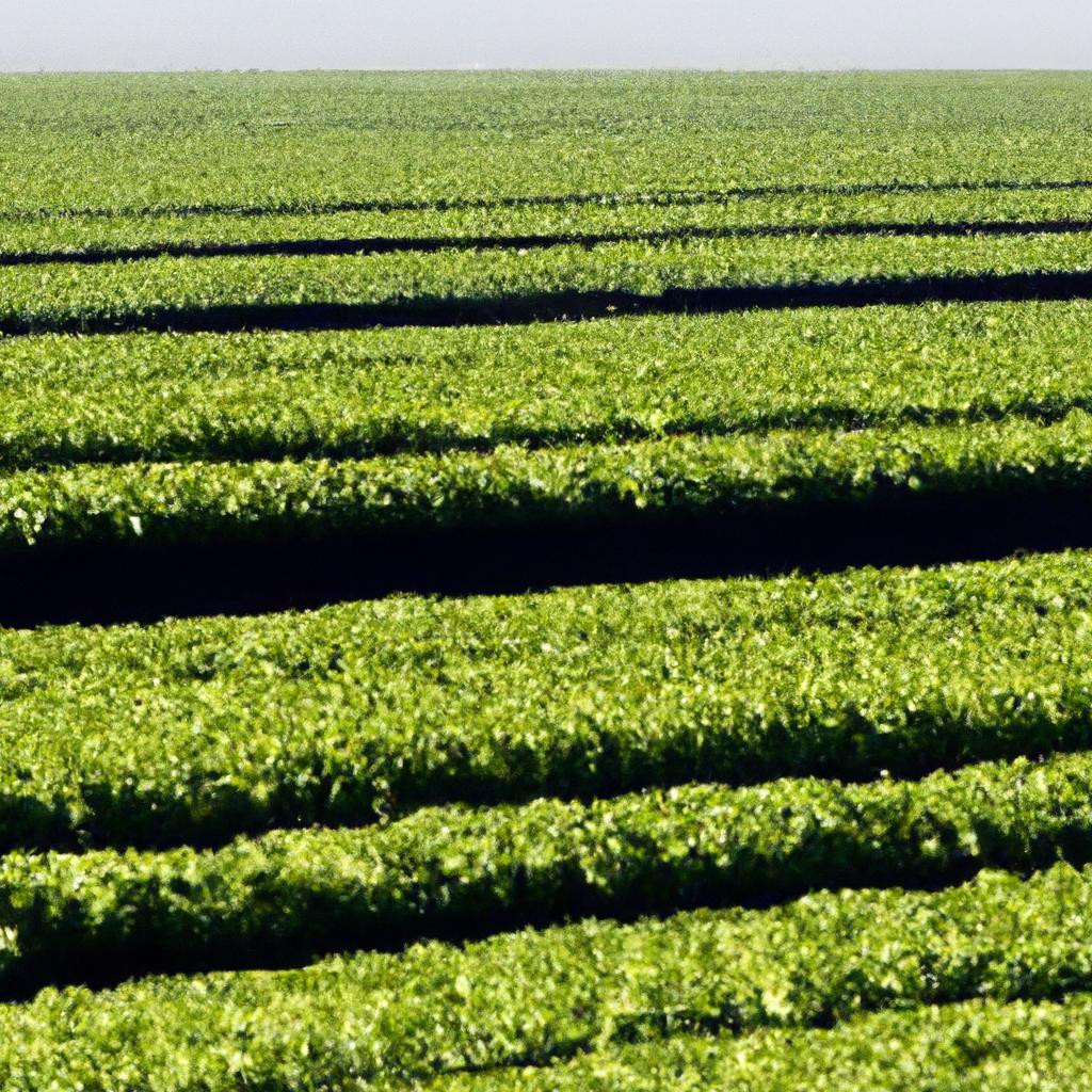 Agronegócio e Agricultura Urbana Sustentável